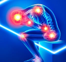 Układ kostno-stawowy